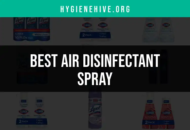 17 Top Air Disinfectant Sprays for Fresh, Safe Spaces featured